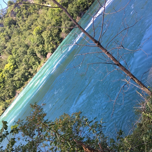 Meet your Posher, Alexandrea - Picture 1 of 1